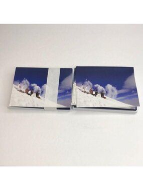 NEW 50+ Blank Note Cards with Envelopes Snow Skiing